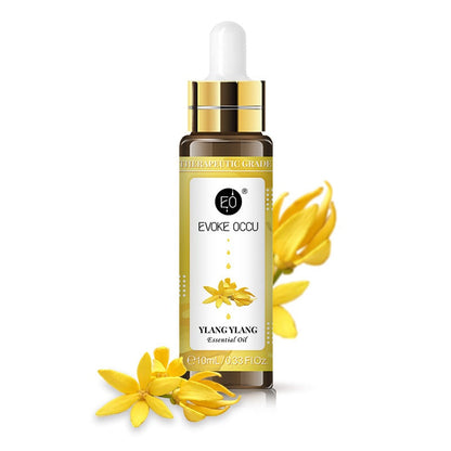 Rose Lavender Aromatherapy Essential Oil – 10ml with Dropper