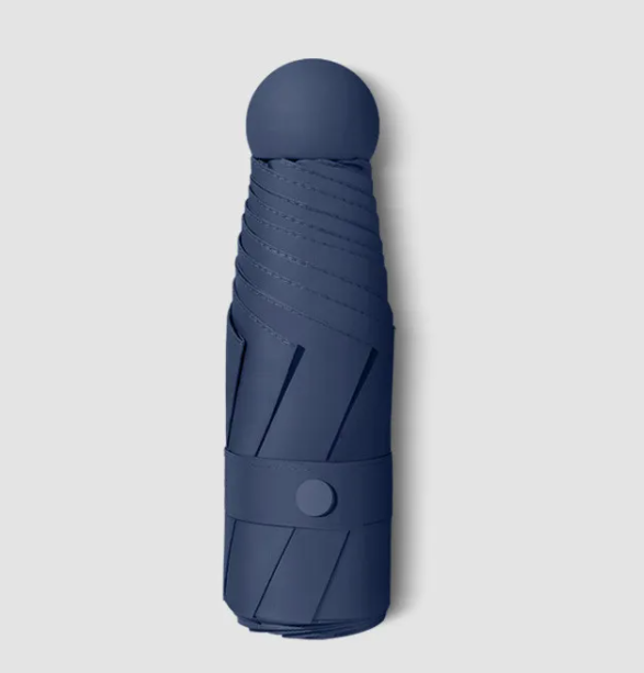 RainSun Auto Compact Umbrella