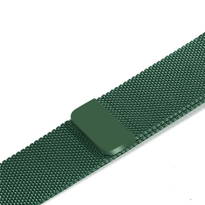 Correa de reloj