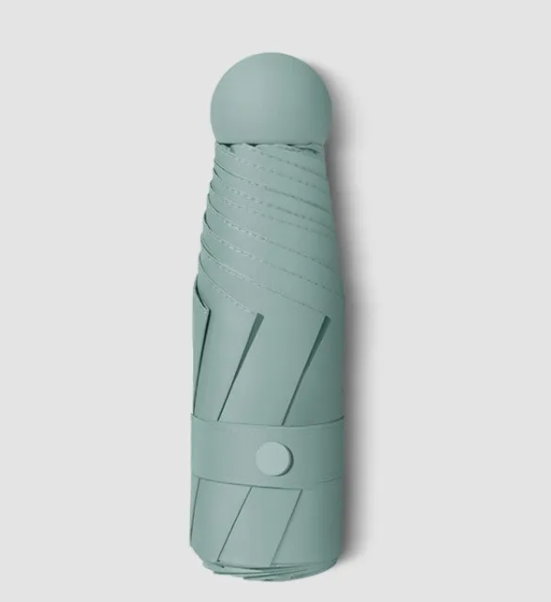 RainSun Auto Compact Umbrella