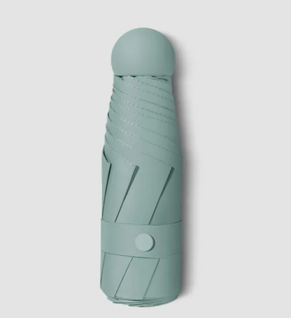 RainSun Auto Compact Umbrella