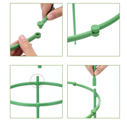 Supports de plantes simples – Parfaits pour les fleurs, les fruits et les légumes !