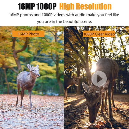 1080P Trail Camera 16MP Night Vision Wildlife Hunting Camera IP66 Waterproof