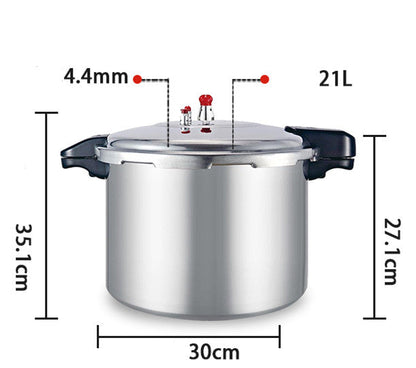 Sleek, Modern, High-Capacity Gas Induction Cooker – A Universal Design