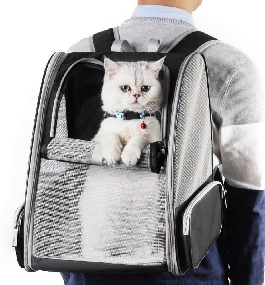 Bubble Travel Carrier