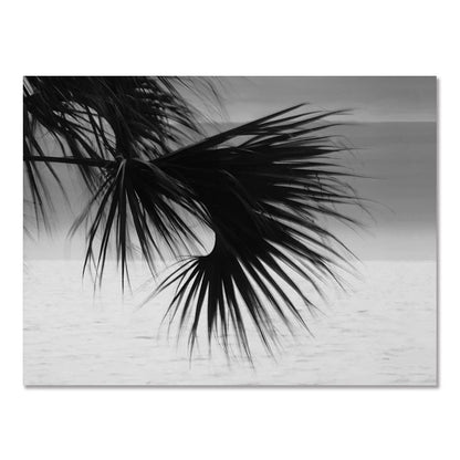 Póster de pared de paisaje costero nórdico moderno en blanco y negro con tema de surf, pintura sin marco