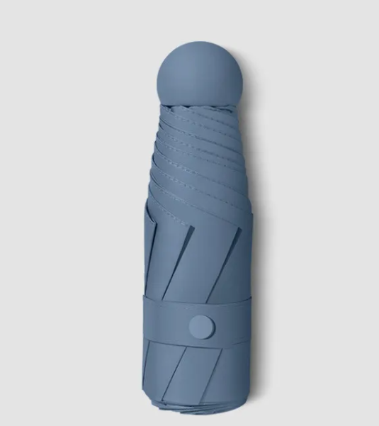 RainSun Auto Compact Umbrella