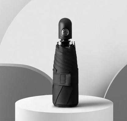 RainSun Auto Compact Umbrella