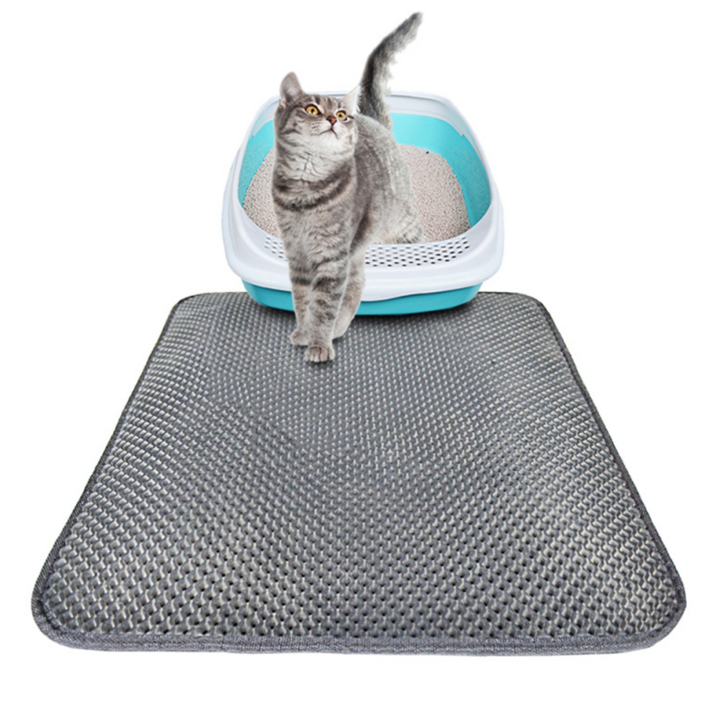 Tapis de litière double couche pour chats, tapis de litière pour animaux de compagnie, tapis de litière pour chats, accessoire de propreté pour maisons de chats