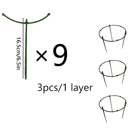 Supports de plantes simples – Parfaits pour les fleurs, les fruits et les légumes !