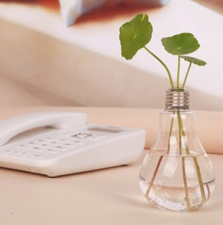 Jarrón de cristal transparente con forma de bombilla, creativo y con envío gratuito