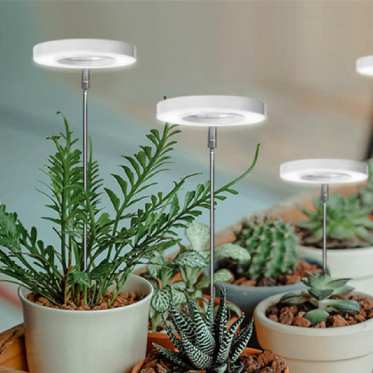 Anillo de ángel USB, lámpara para plantas, atenuación con temporizador, altura