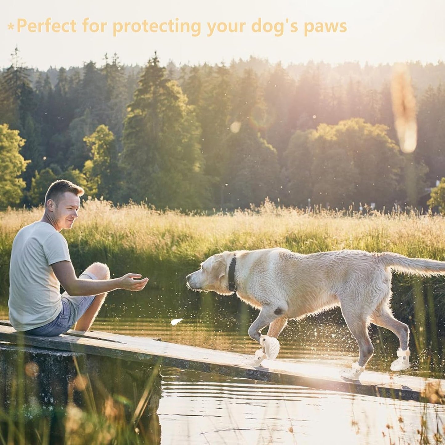 Indoor Dog Boots & Dog Shoes — Non-Slip Paw Protection (4-Pack)