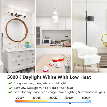 Led Light Bulbs, 100 Watt Equivalent Led Bulbs, Daylight White 5000K, 1500Lm, E2