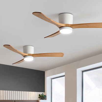 Ventilateur de plafond avec lampe pour appartement F2