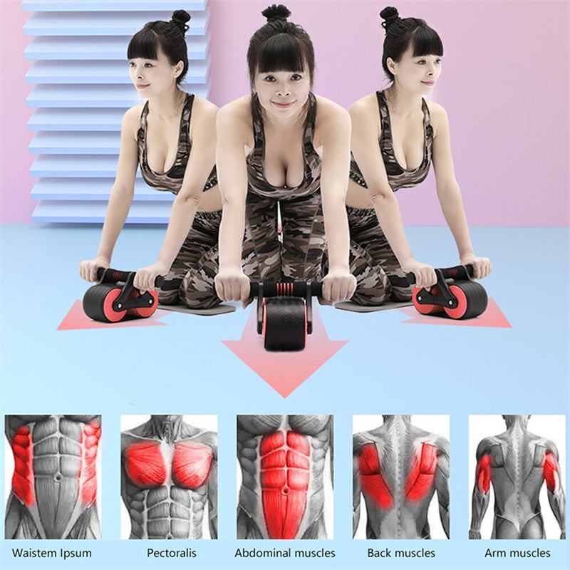 Double Wheel Abdominal Exerciser Fitness