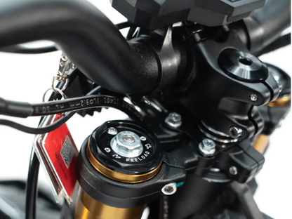 2025 Arctic Leopard XE Pro S (Gold Fork Edition)