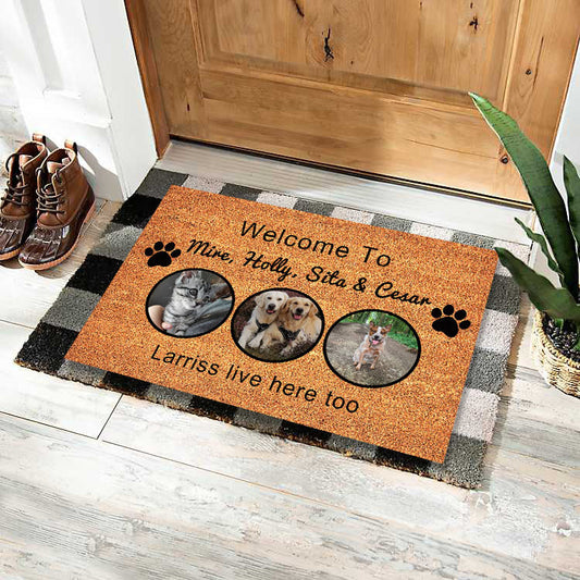 Paillasson personnalisé Cadeaux personnalisésNom du texte Photo de chien ou de chat Tapis de porte intérieur extérieur