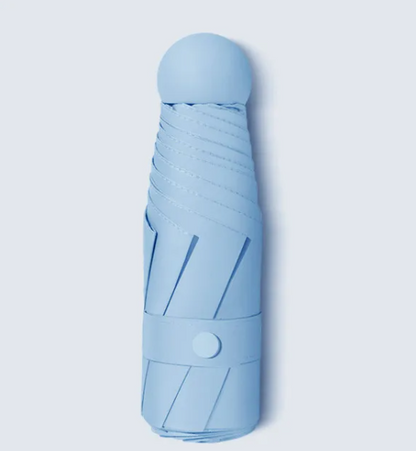RainSun Auto Compact Umbrella