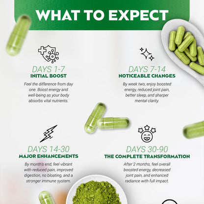 Pure Moringa Powder Capsules