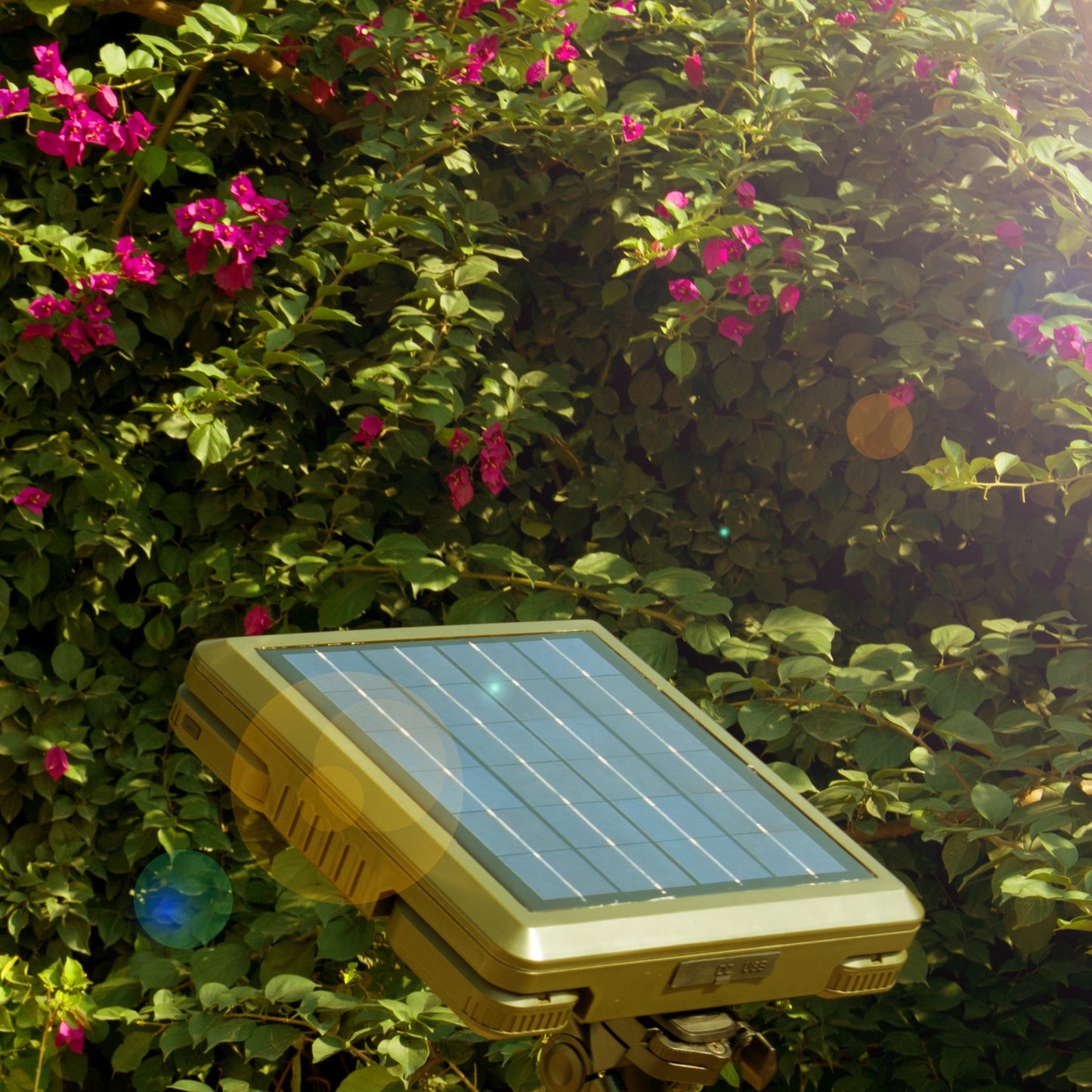 TRU De-LIGHT WHITENIGHT Multipurpose Solar/AC/DC Light – Garden & Camping with Tripod & Carry Bag
