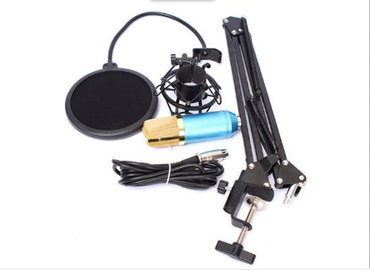 Ensemble microphone BM800