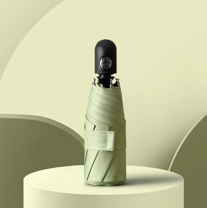 RainSun Auto Compact Umbrella