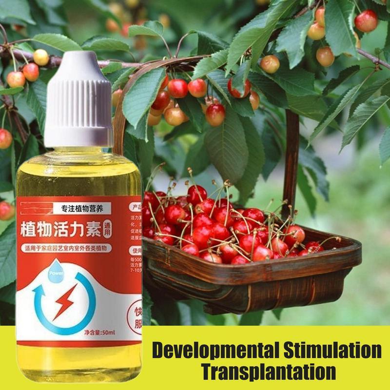 Plant Vitamins – Universal Daily Wellness Formula