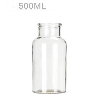 Hydroponic Plant Glass Bottle Living Room Decorations