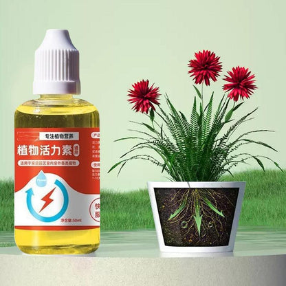 Plant Vitamins – Universal Daily Wellness Formula