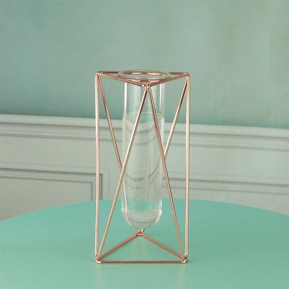 Hydroponic Glass Vase