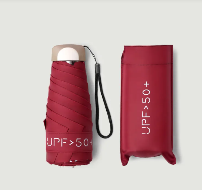 RainSun Auto Compact Umbrella