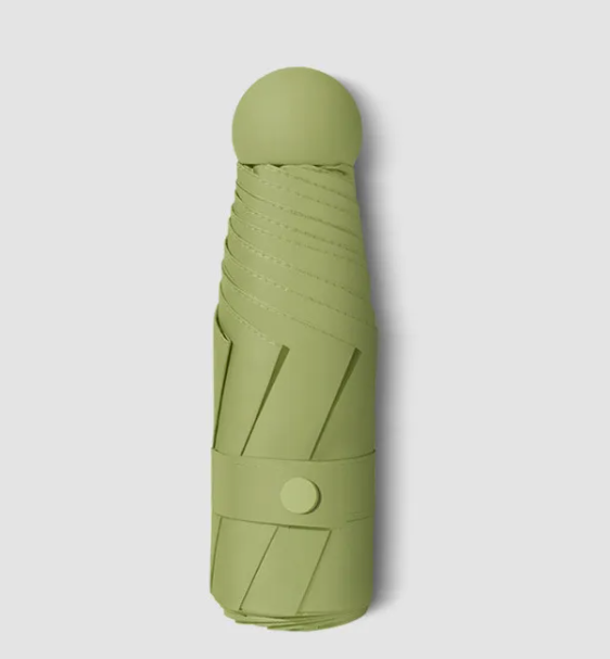 RainSun Auto Compact Umbrella