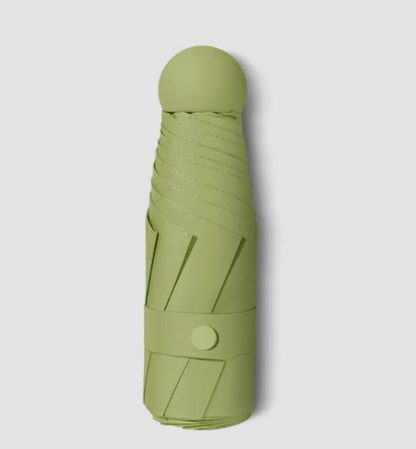 RainSun Auto Compact Umbrella