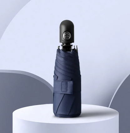 RainSun Auto Compact Umbrella
