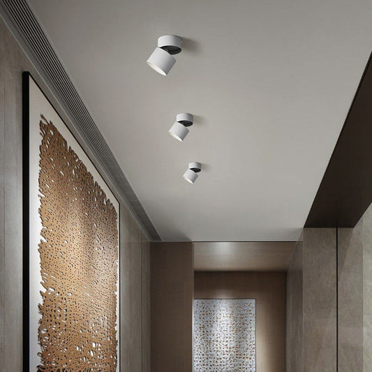 LED Downlight Spotlights Are Open Mounted And Foldable