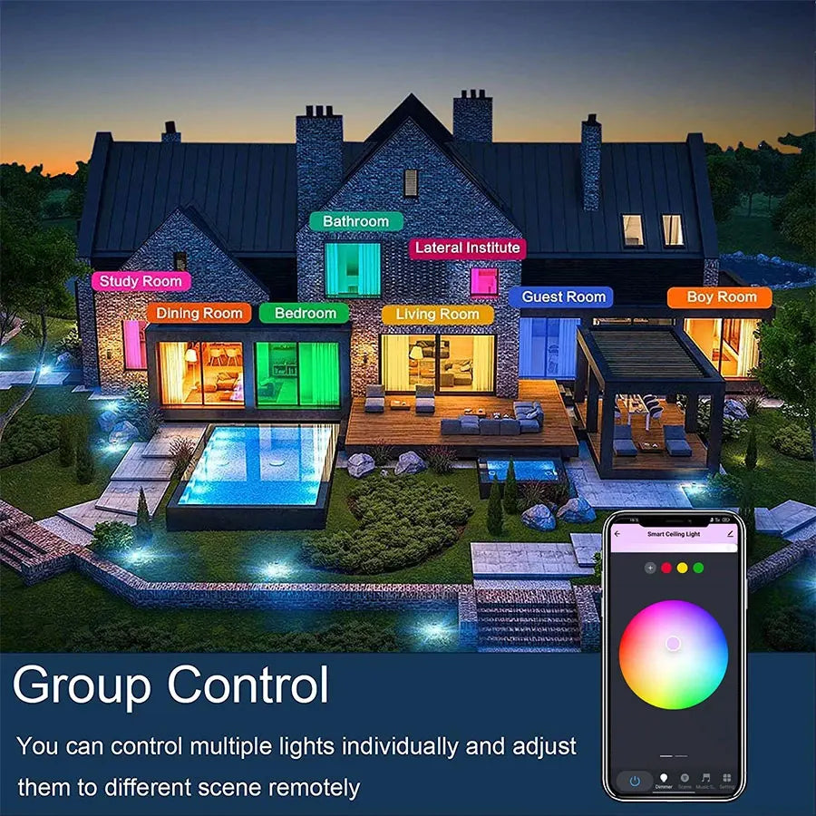 Smart WiFi RGB Ceiling Light 24W App Control Alexa Google Home Bedroom Lamp