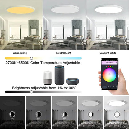 Smart WiFi RGB Ceiling Light 24W App Control Alexa Google Home Bedroom Lamp