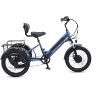 Viribus SC5 Fat Tire Electric Tricycle