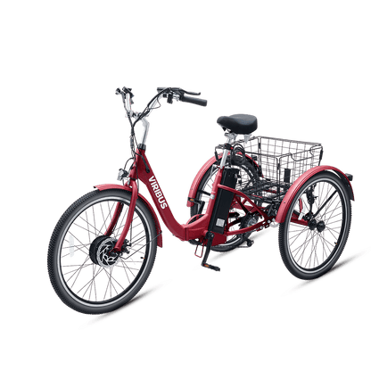 Triciclo Eléctrico Plegable Viribus TG1