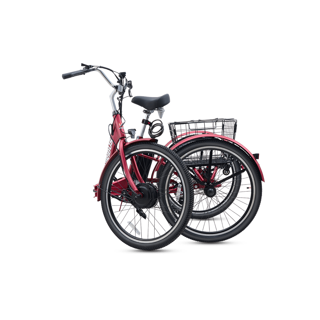 Triciclo Eléctrico Plegable Viribus TG1