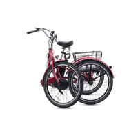 Triciclo Eléctrico Plegable Viribus TG1