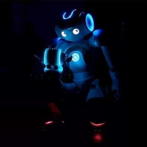 Robot Compañero Humanoide Avanzado con IA para Adultos con Interacción Multisensorial y Comunicación Global