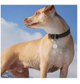 MFi Certified Anti Loss Device, Wireless Tracker