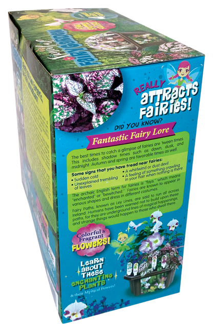 Fanciful Fairy Garden Biosphere Terrarium