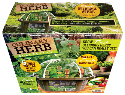 Culinary Herb Collection Biosphere Terrarium
