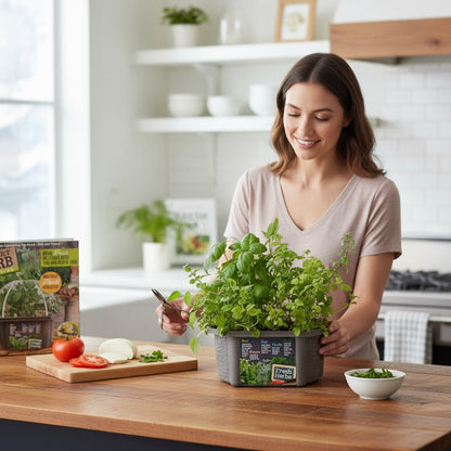 Culinary Herb Collection Biosphere Terrarium