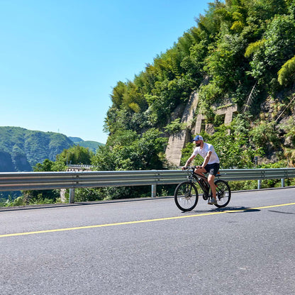 Vélo électrique de montagne Viribus Panther