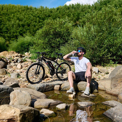 Vélo électrique de montagne Viribus Panther