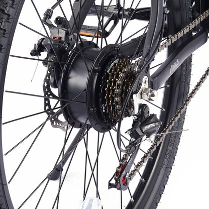 Vélo électrique de montagne Viribus Panther